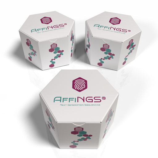 AffiNGS® RRBS Library Fast Kit